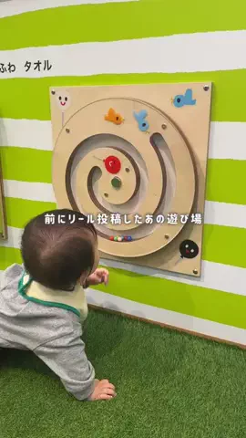 かとまりのTikTok投稿