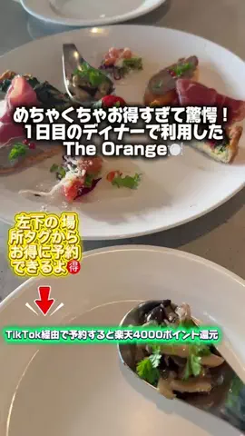 ともみんの大人旅のTikTok投稿
