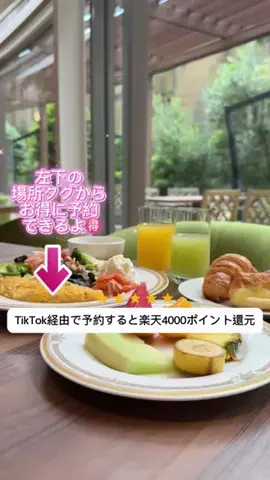 ともみんの大人旅のTikTok投稿