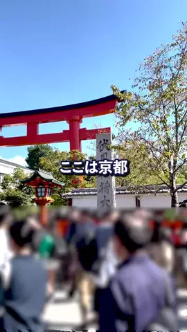 トコトコ日記✈️｜旅とホテル案内のTikTok投稿