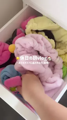 モモの実のTikTok投稿