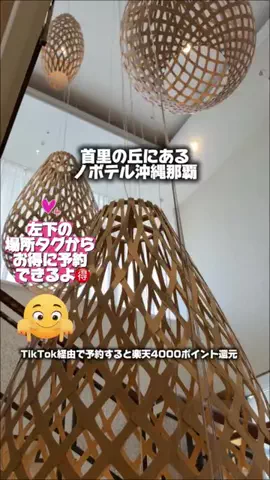 ともみんの大人旅のTikTok投稿