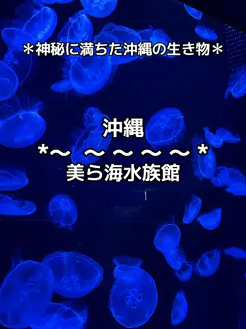 ちーやんのTikTok投稿