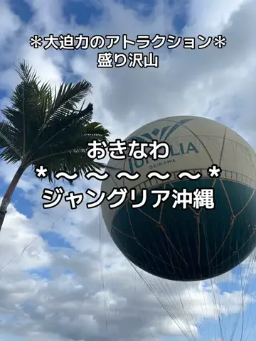 ちーやんのTikTok投稿