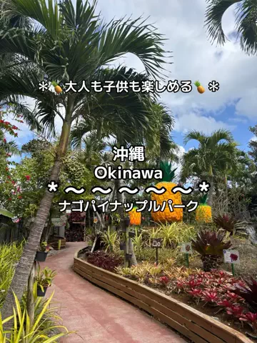ちーやんのTikTok投稿