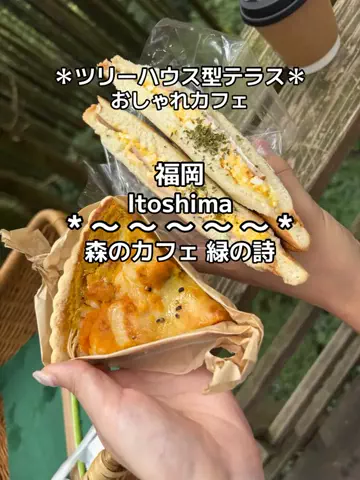 ちーやんのTikTok投稿