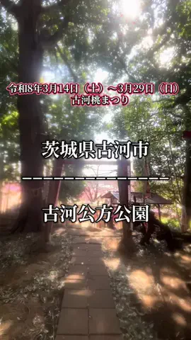 茨城と栃木の県境に住んでいますのTikTok投稿