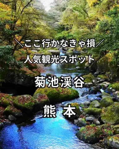 サム/九州旅行【観光地/宿/グルメ】のTikTok投稿