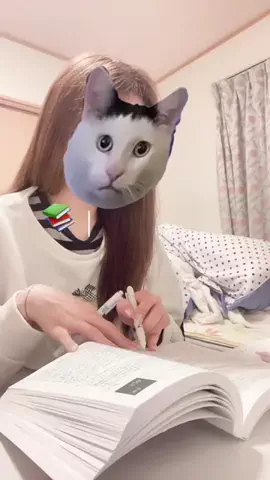 法学部てぇあのTikTok投稿