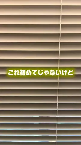 2人暮らし.comのTikTok投稿