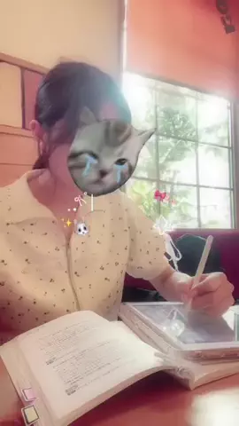 法学部てぇあのTikTok投稿