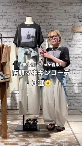 エリカのTikTok投稿