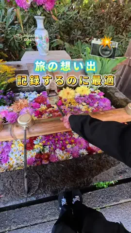 COCO | 暮らしを彩るアイデア🌿のTikTok投稿