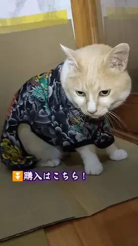 ピアス😼💫のTikTok投稿