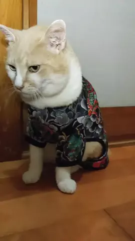 ピアス😼💫のTikTok投稿