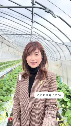 山本貴子のTikTok投稿