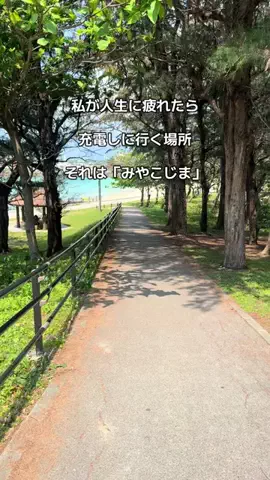 ASUKA_旅のガイドブックのTikTok投稿