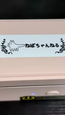 ねぼのTikTok投稿