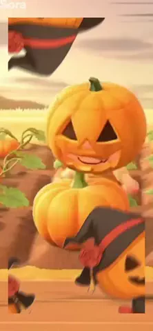 ぽいぷろの猫のTikTok投稿