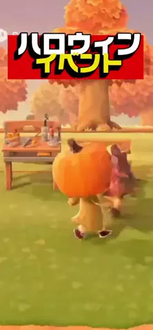 ぽいぷろの猫のTikTok投稿