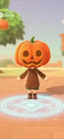 ぽいぷろの猫のTikTok投稿