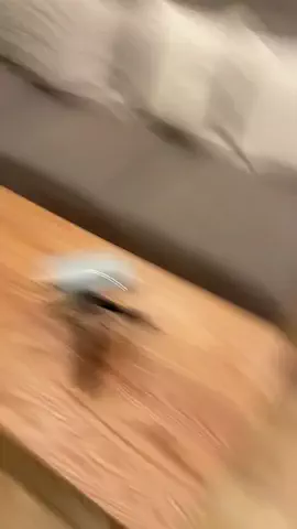 うえの☁️🫧のTikTok投稿