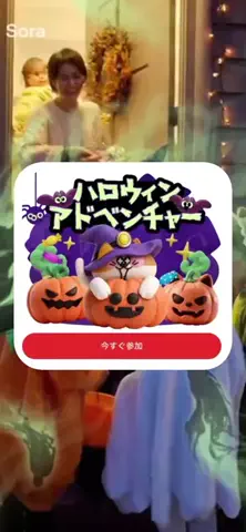 ぽいぷろの猫のTikTok投稿