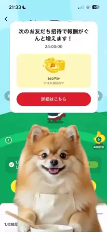ぽいぷろの猫のTikTok投稿