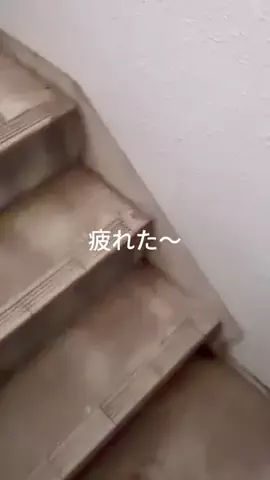 yuuuu____2uのTikTok投稿