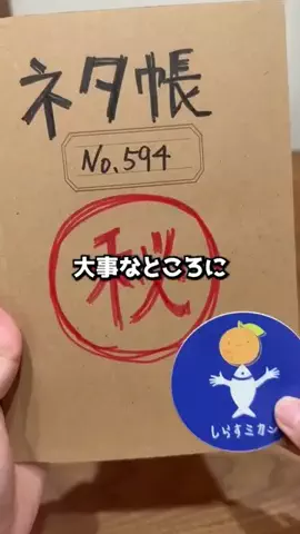 しらすミカンのTikTok投稿