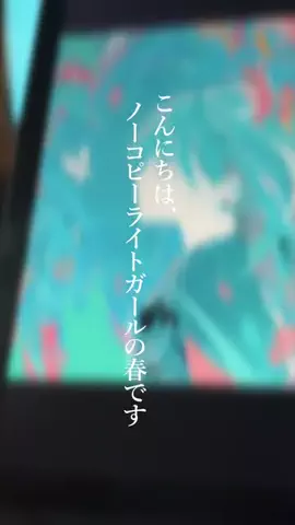 ノーコピーライトガール / NCGのTikTok投稿