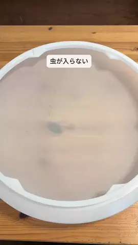 ちゃあ| ずぼらママでも整う暮らしのTikTok投稿