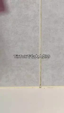 凛々🐼のTikTok投稿