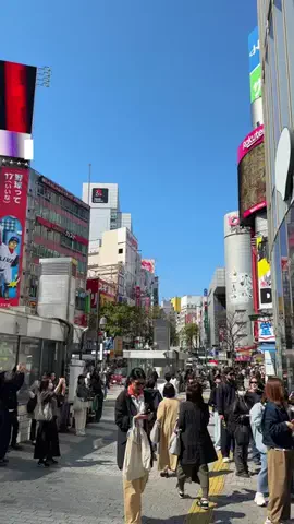 ゆき | オシャレカフェ✨【神奈川・東京】のTikTok投稿