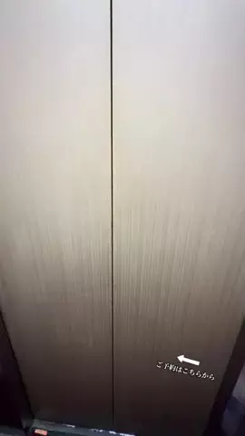 ルイハナちゃんのTikTok投稿