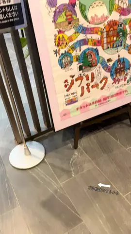 ルイハナちゃんのTikTok投稿