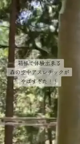 ちゃんたま/プチ贅沢ホテル旅✈️のTikTok投稿