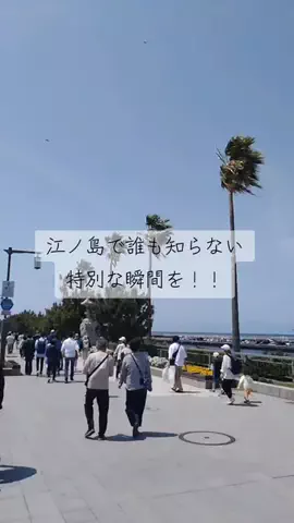 ちゃんたま/プチ贅沢ホテル旅✈️のTikTok投稿