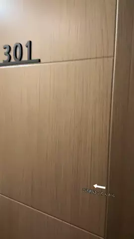 ルイハナちゃんのTikTok投稿