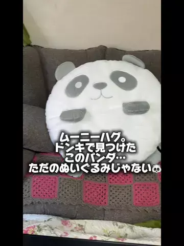 どらちゃんのTikTok投稿