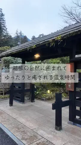 ちゃんたま/プチ贅沢ホテル旅✈️のTikTok投稿