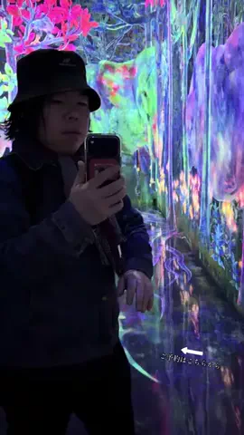 ルイハナちゃんのTikTok投稿