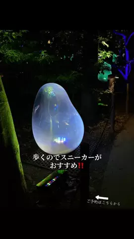 ルイハナちゃんのTikTok投稿