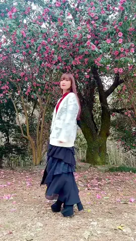 ゆきりんごのTikTok投稿