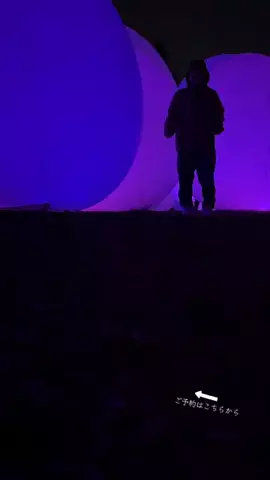 ルイハナちゃんのTikTok投稿