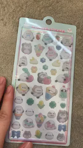 こりんぼすけの休暇のTikTok投稿