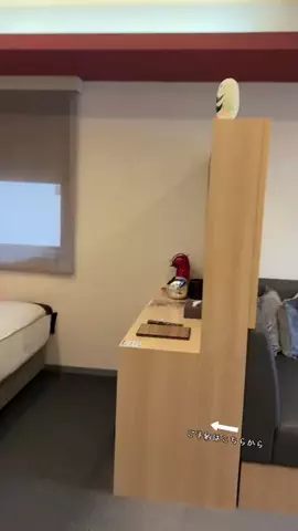 ルイハナちゃんのTikTok投稿