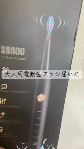 こりんぼすけの休暇のTikTok投稿
