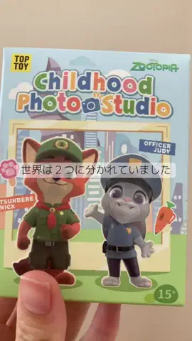 こりんぼすけの休暇のTikTok投稿