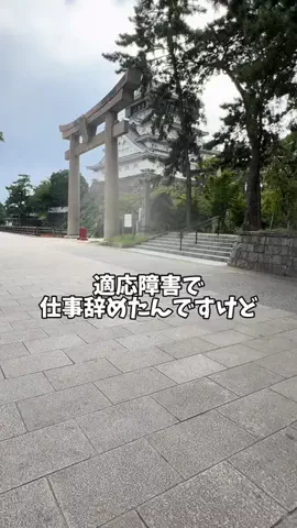 あめだま会社員のTikTok投稿